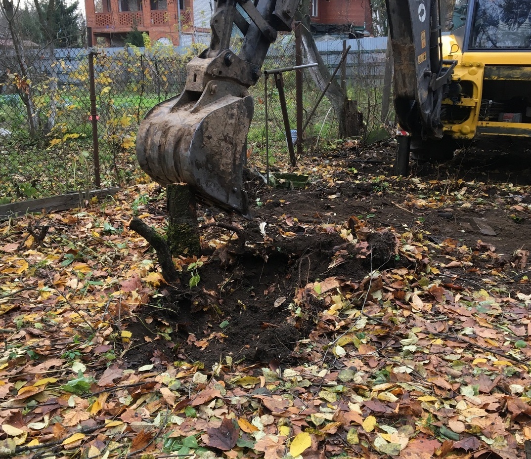 🌳Расчистка участка в Москве и области - цена от 1800 р за сотку | Очистка  от деревьев и кустарников! 🌲